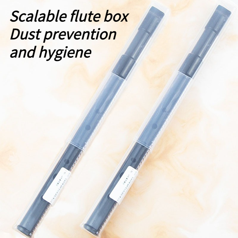 6 حفرة الراتنج القصدير صافرة D - مراجعة Tin Whistle Flute وسعره