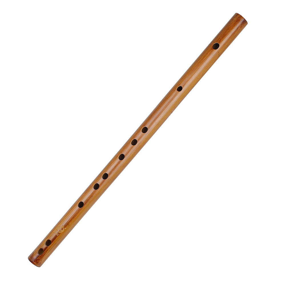 بيكولو خشبي تقليدي صغير، سهل ا - مراجعة Musical Instrument You Blow وسعره