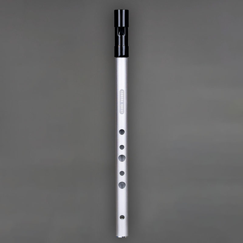 صفارة معدنية احترافية بـ 6 فتح - مراجعة Tin Whistle Flute وسعره