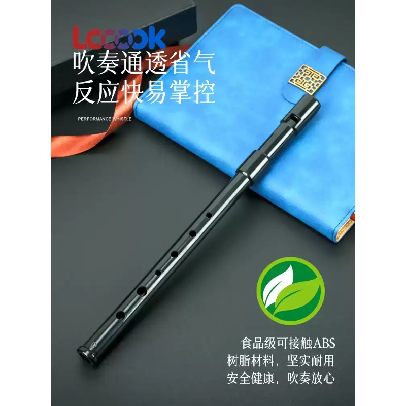 آلة نفخ معدنية عالية الجودة من - مراجعة Tin Whistle Flute وسعره