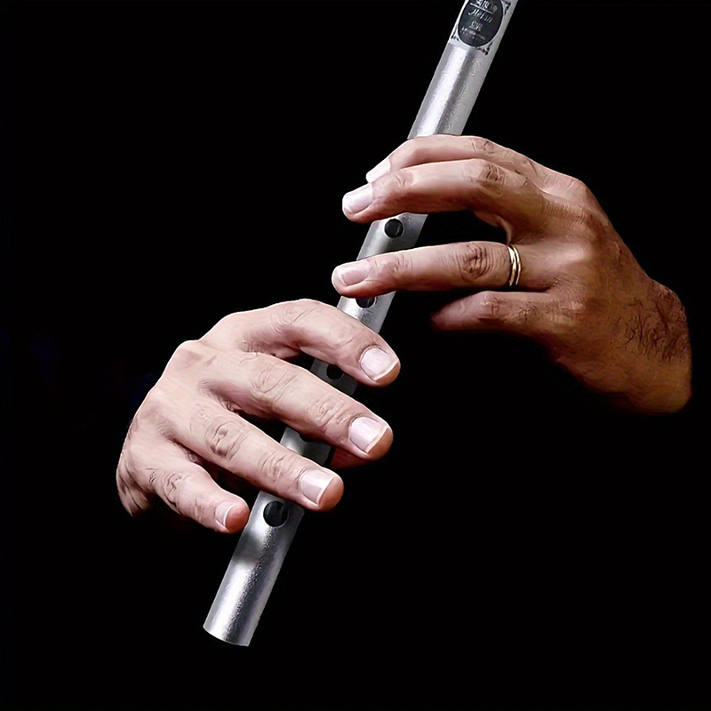 1 قطعة C/D مفتاح القصدير بيني  - مراجعة Tin Whistle Flute وسعره