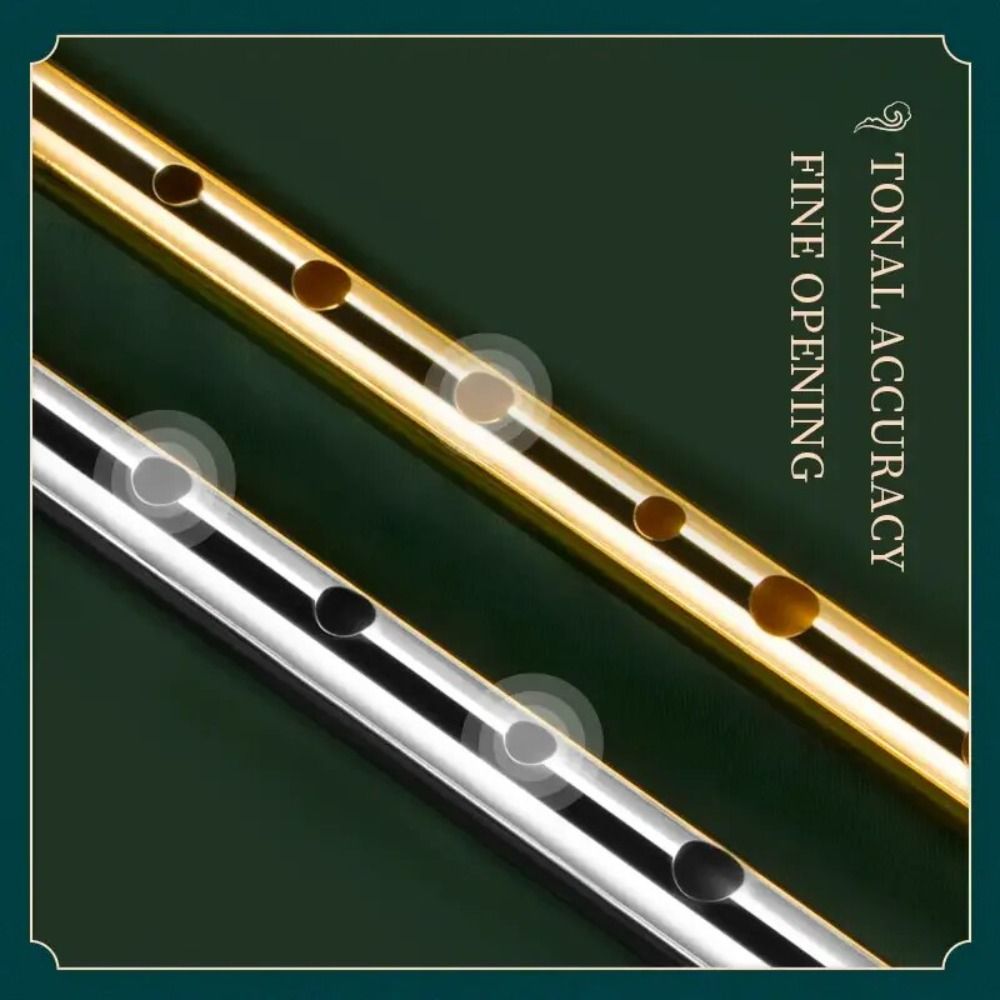 فلوت أيرلندي بمفتاح C/D، 6 فتح - مراجعة Tin Whistle Flute وسعره