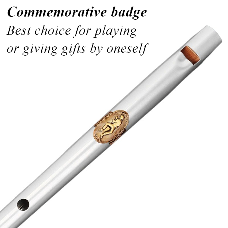 D/C مفتاح القصدير صافرة طالب ا - مراجعة Tin Whistle Flute وسعره