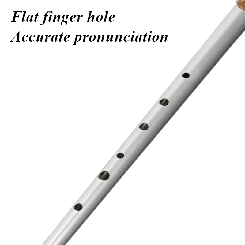 D/C مفتاح القصدير صافرة طالب ا - مراجعة Tin Whistle Flute وسعره